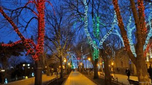IMG_20200118_171037.jpg
