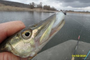 SAM_1393.JPG
