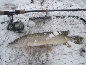 IMG_1868.JPG