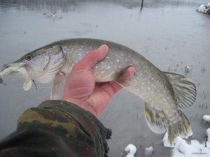 IMG_1896.JPG
