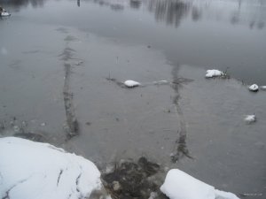 IMG_1898.JPG