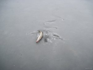 IMG_1904.JPG