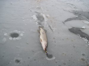 IMG_1907.JPG