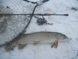 IMG_1889.JPG