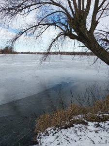 IMG_20200206_124307.jpg