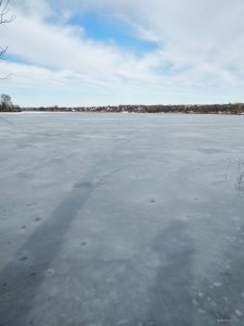 IMG_20200206_124145.jpg