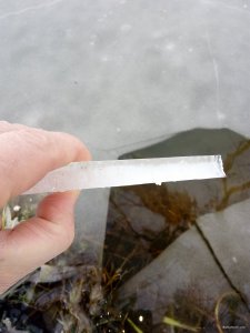 IMG_20200206_133349.jpg