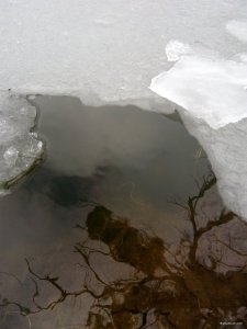 IMG_20200207_123323.jpg