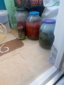 P00208-150833.jpg