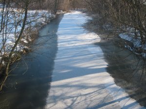 IMG_1921.JPG
