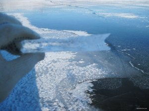 IMG_1923.JPG