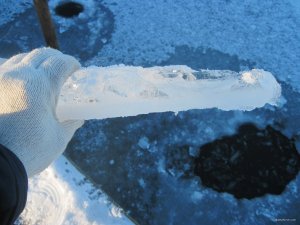 IMG_1928.JPG