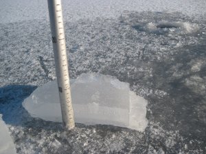 IMG_1932.JPG