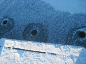 IMG_1926.JPG