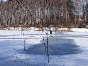 IMG_20200209_103054.jpg