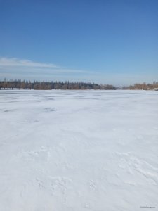 20200209_112340.jpg