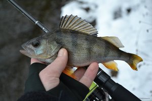 DSC_0766.JPG