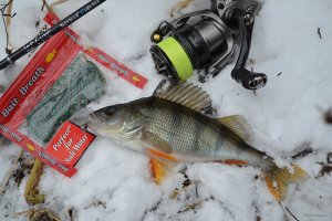 DSC_0759.JPG