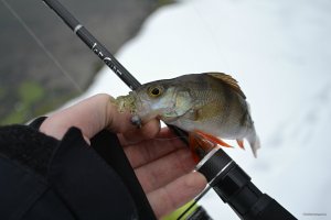 DSC_0738.JPG