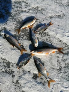 IMG_20200209_133640.jpg