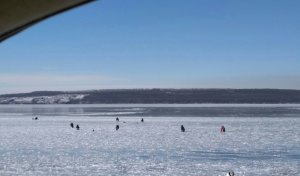 IMG_20200209_120623.jpg