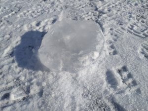 IMG_20200209_104912.jpg