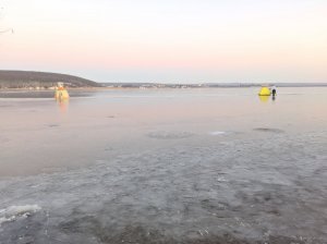 IMG_MIX2S_20200210_064618.jpg