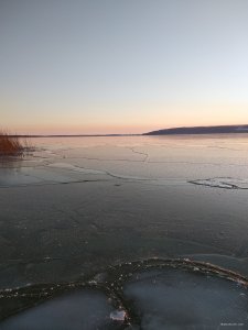 IMG_20200209_161935.jpg