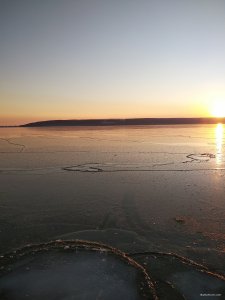 IMG_20200209_161937.jpg