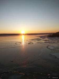 IMG_20200209_161939.jpg