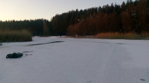 IMG_20200210_071017.jpg