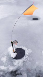 IMG_20200213_101341.jpg