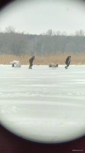 IMG_20200213_113903.jpg
