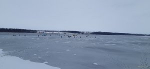 20200213_075410.jpg
