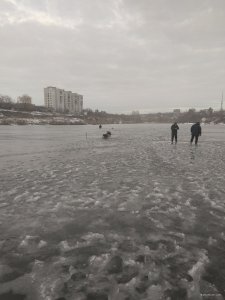 IMG_20200214_161751.jpg