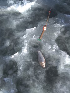 IMG_20200214_130621.jpg
