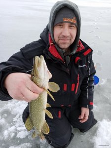 IMG_20200214_084527.jpg