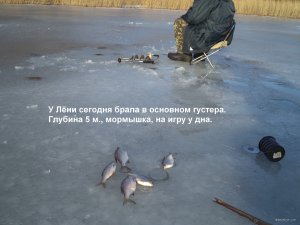 DSC00024.JPG