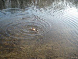 IMG_1967.JPG