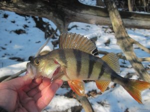 IMG_1977.JPG