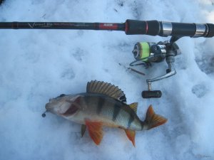 IMG_1980.JPG