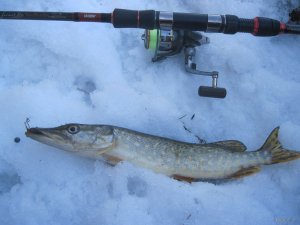 IMG_1991.JPG
