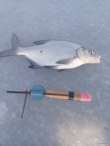 IMG_20200216_093510.jpg