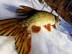 20200216_202733.jpg