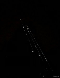 9915C62D-F3EE-4C0F-B23B-83DD7504D38C.jpeg