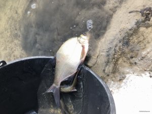 D05791BD-5216-4851-823B-37F07DDC0D7D.jpeg