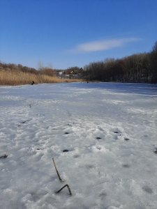 20200216_121818[1].jpg