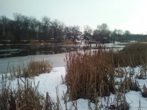 IMG_20200215_084953.jpg
