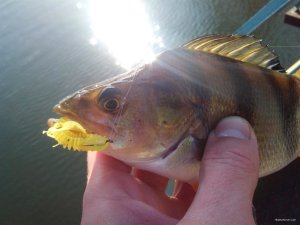 IMG_20200215_121035.jpg