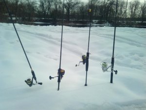 IMG_20200215_090800.jpg